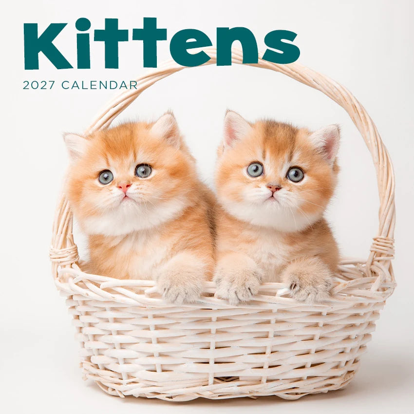 KITTENS CALENDAR: 2027