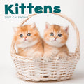 KITTENS CALENDAR: 2027