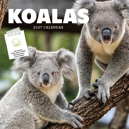 KOALAS CALENDAR: 2027