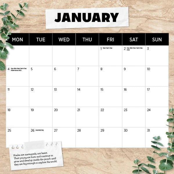 KOALAS CALENDAR: 2027