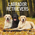 LABRADOR RETRIEVERS CALENDAR: 2027
