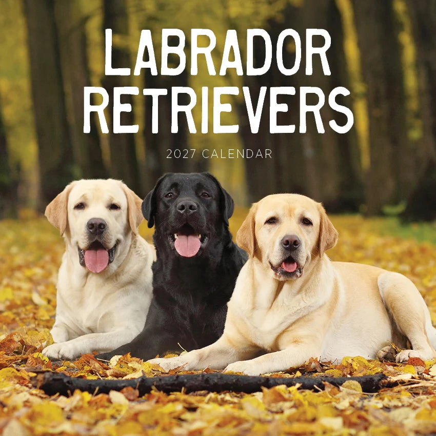LABRADOR RETRIEVERS CALENDAR: 2027