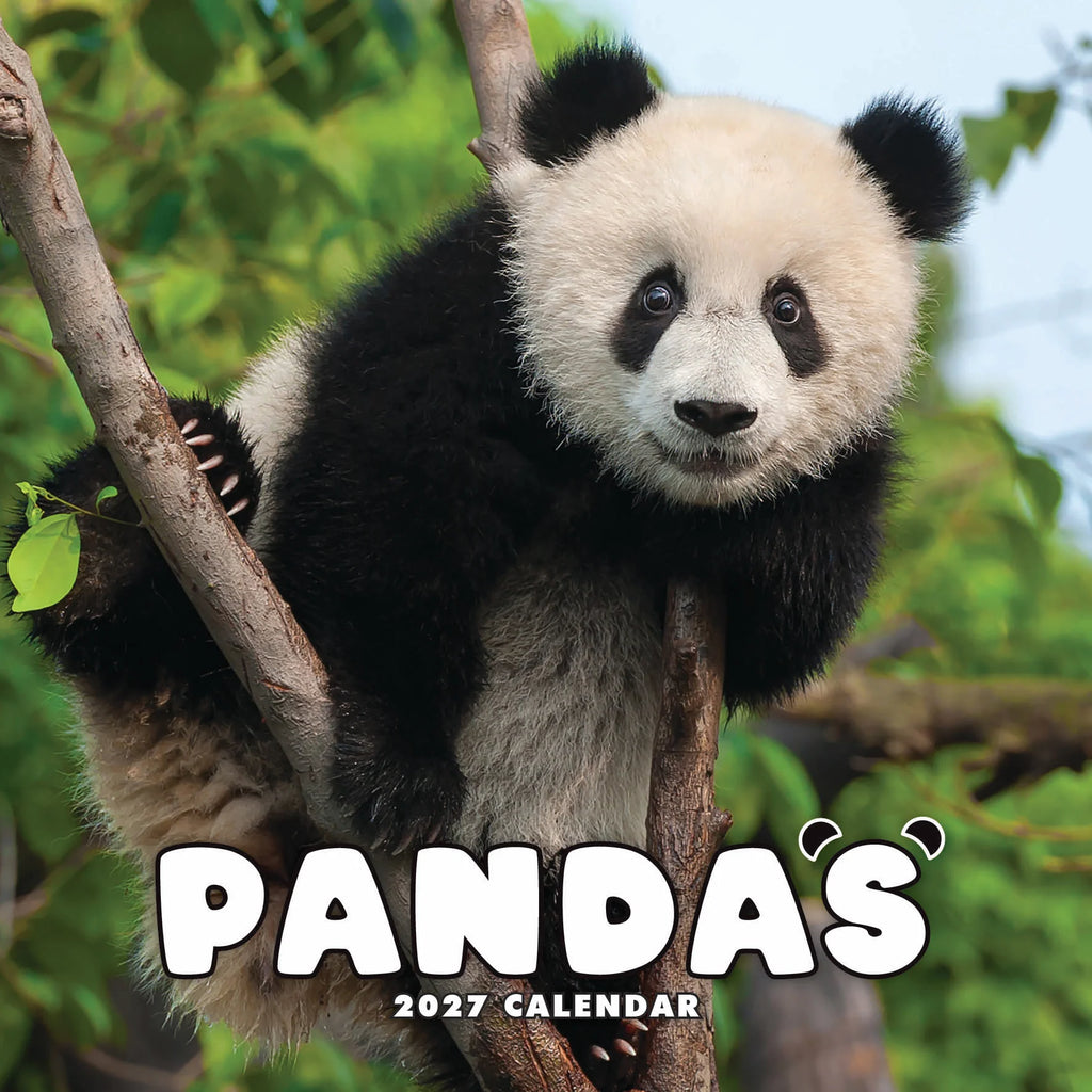 PANDAS CALENDAR: 2027