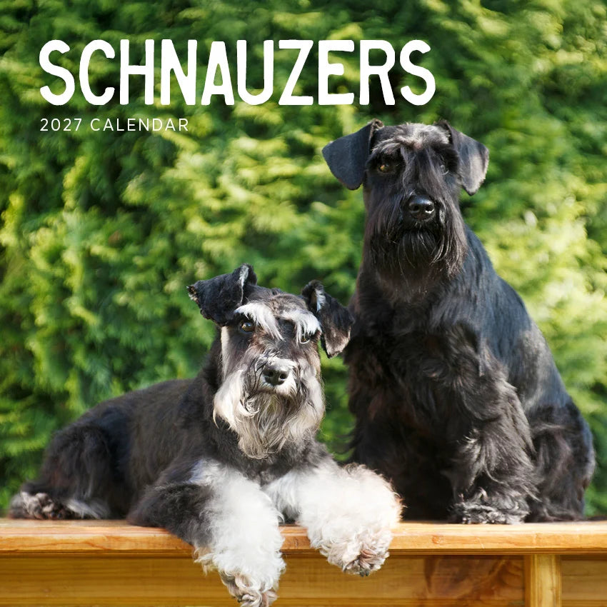 SCHNAUZERS CALENDAR: 2027