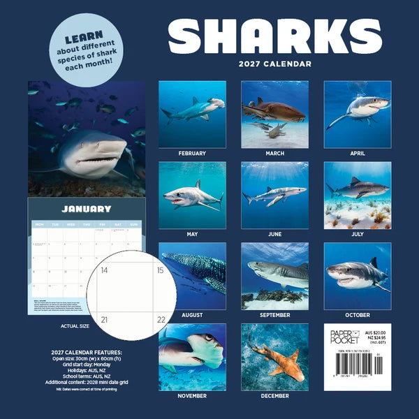 SHARKS CALENDAR: 2027