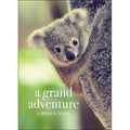 M91 A GRAND ADVENTURE IS ABOUT TO BEGIN