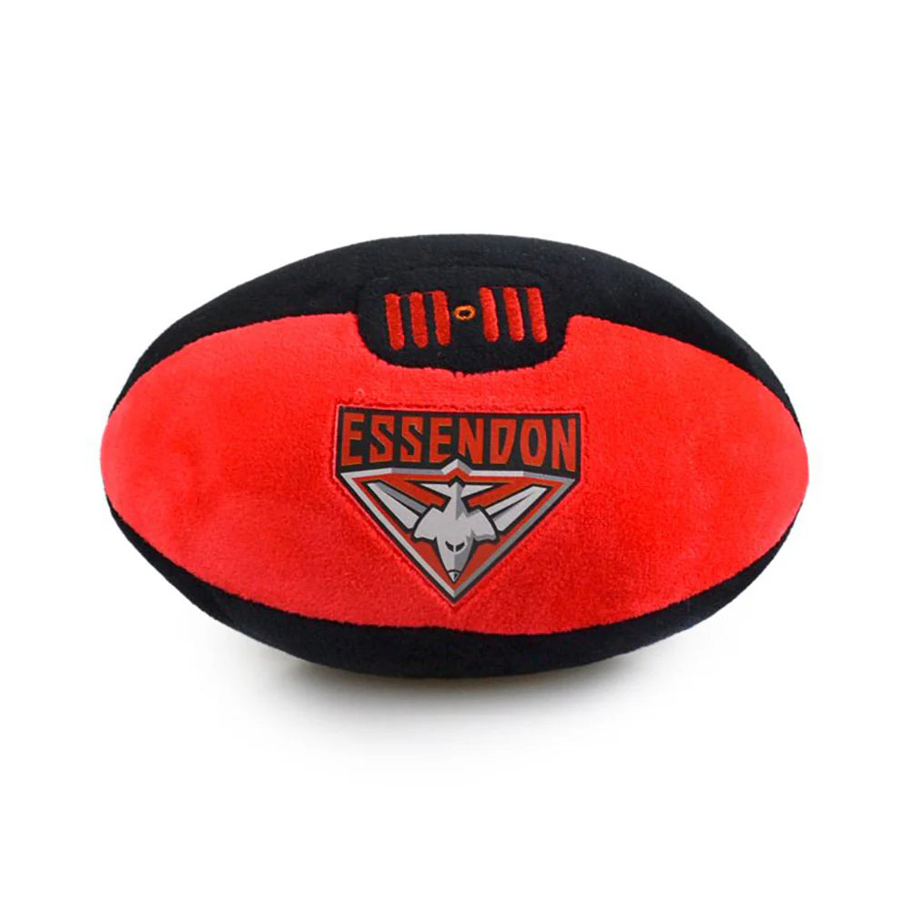 AFL FOOTY ESSENDON
