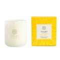 Tilley - CLASSIC SUEDE TOBACCO & AMBER 375g Soy Candle