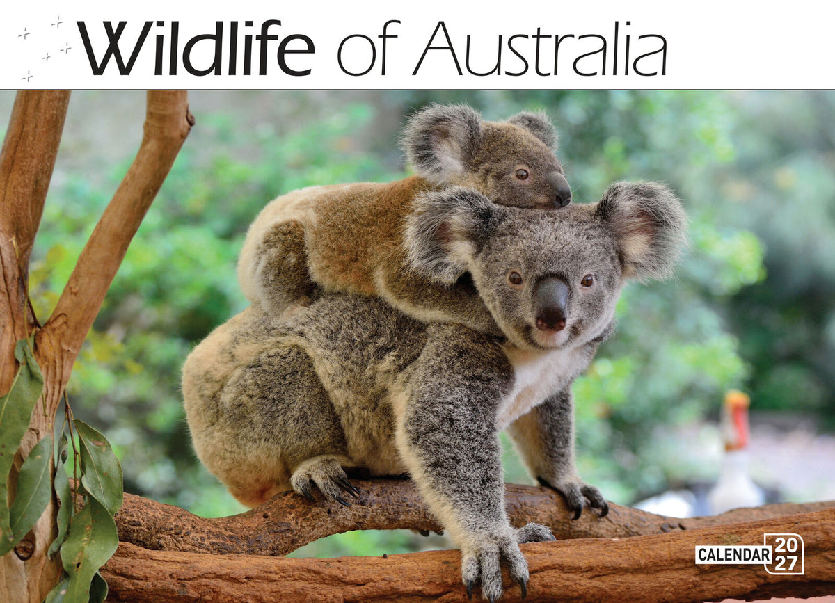 2027 Calendar Bartel Prestige Wildlife of Australia Horizontal Wall, CA705