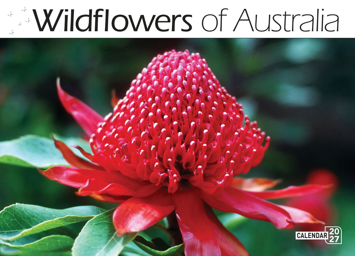 2027 Calendar Bartel Prestige Wildflowers of Australia Horizontal Wall, CA706