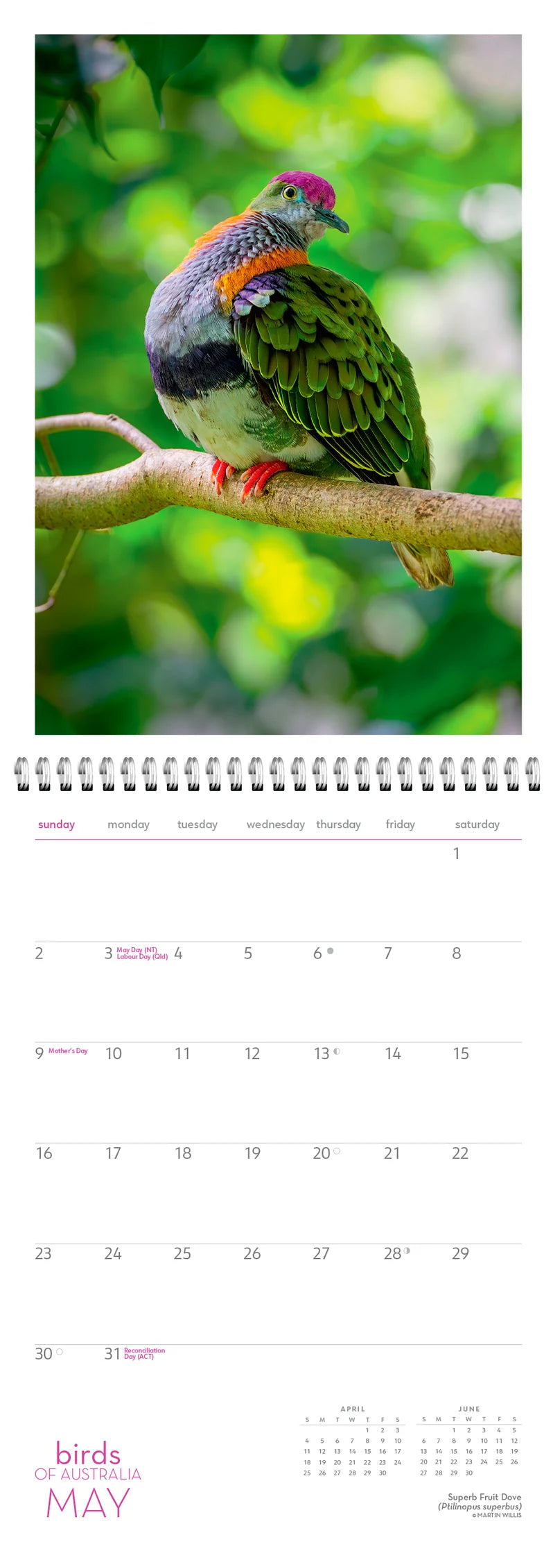 BIRDS OF AUSTRALIA WALL CALENDAR: 2027