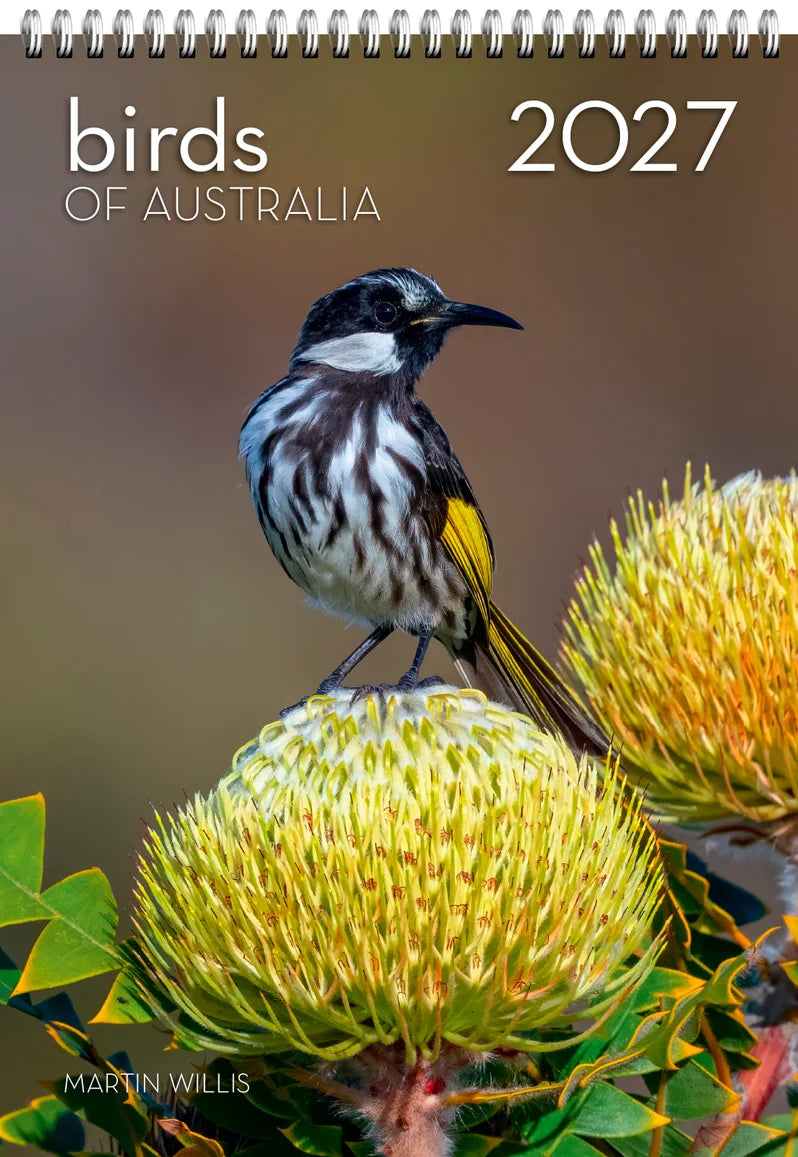 BIRDS OF AUSTRALIA WALL CALENDAR: 2027