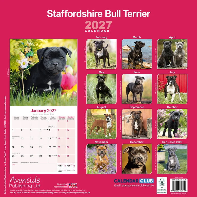 STAFFORDSHIRE BULL TERRIER CALENDAR: 2027