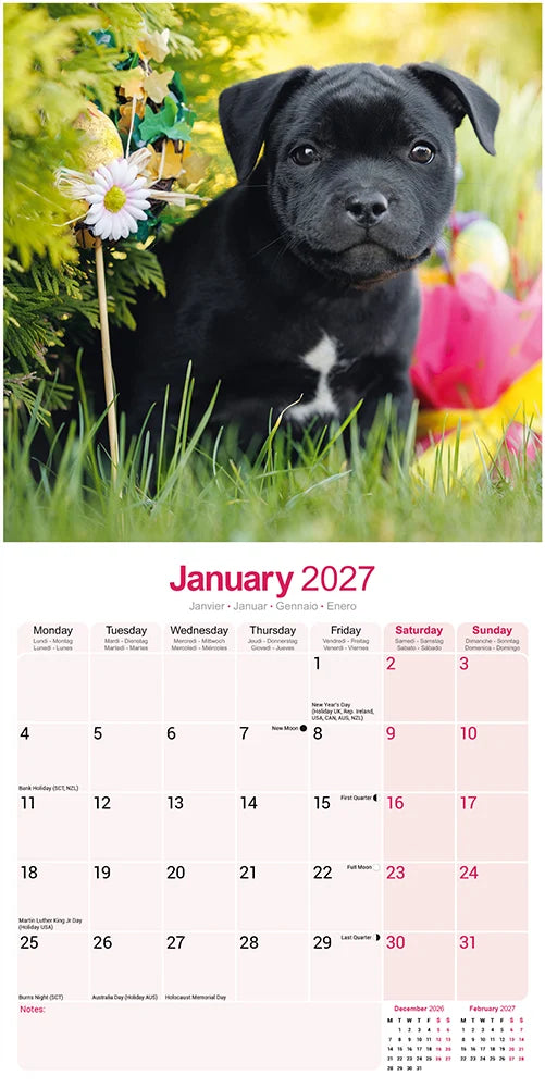 STAFFORDSHIRE BULL TERRIER CALENDAR: 2027