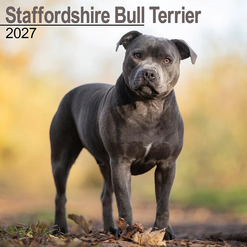 STAFFORDSHIRE BULL TERRIER CALENDAR: 2027
