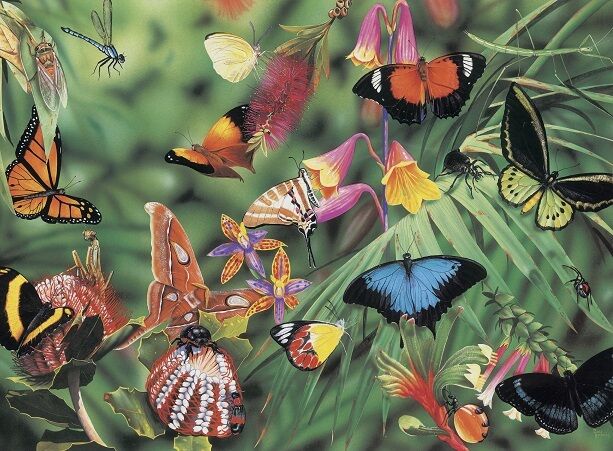 BLUE OPAL WILD AUSTRALIA BUTTERFLIES & BEETLES 100 PIECES