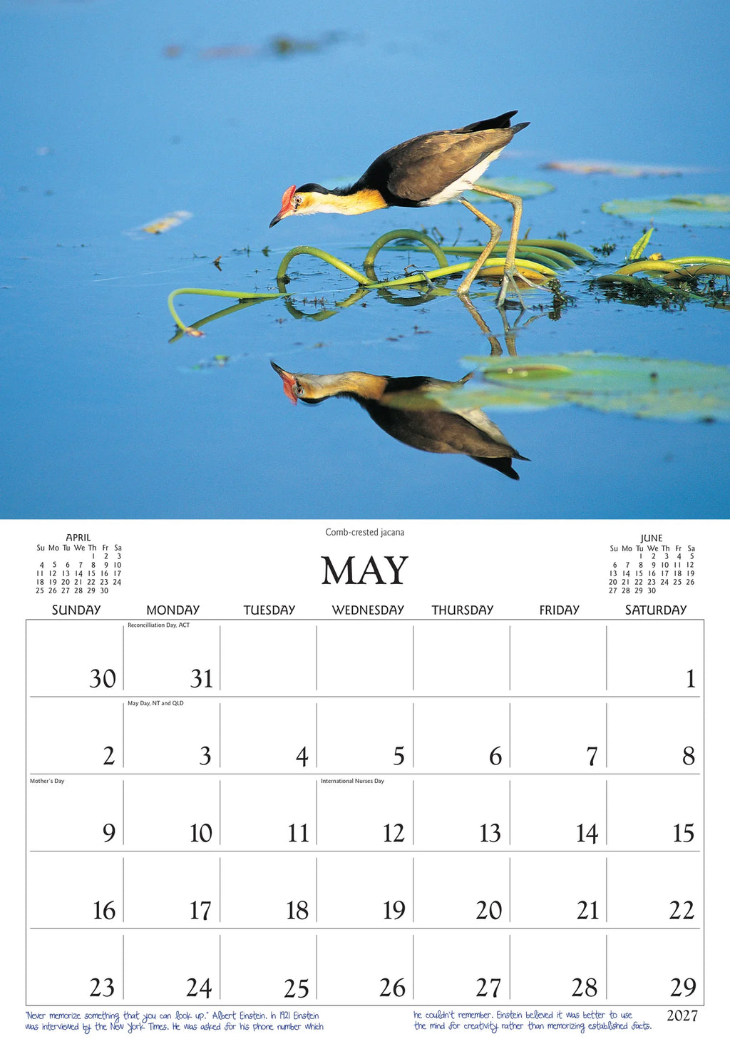 BIRDS OF AUST CALENDAR: 2027