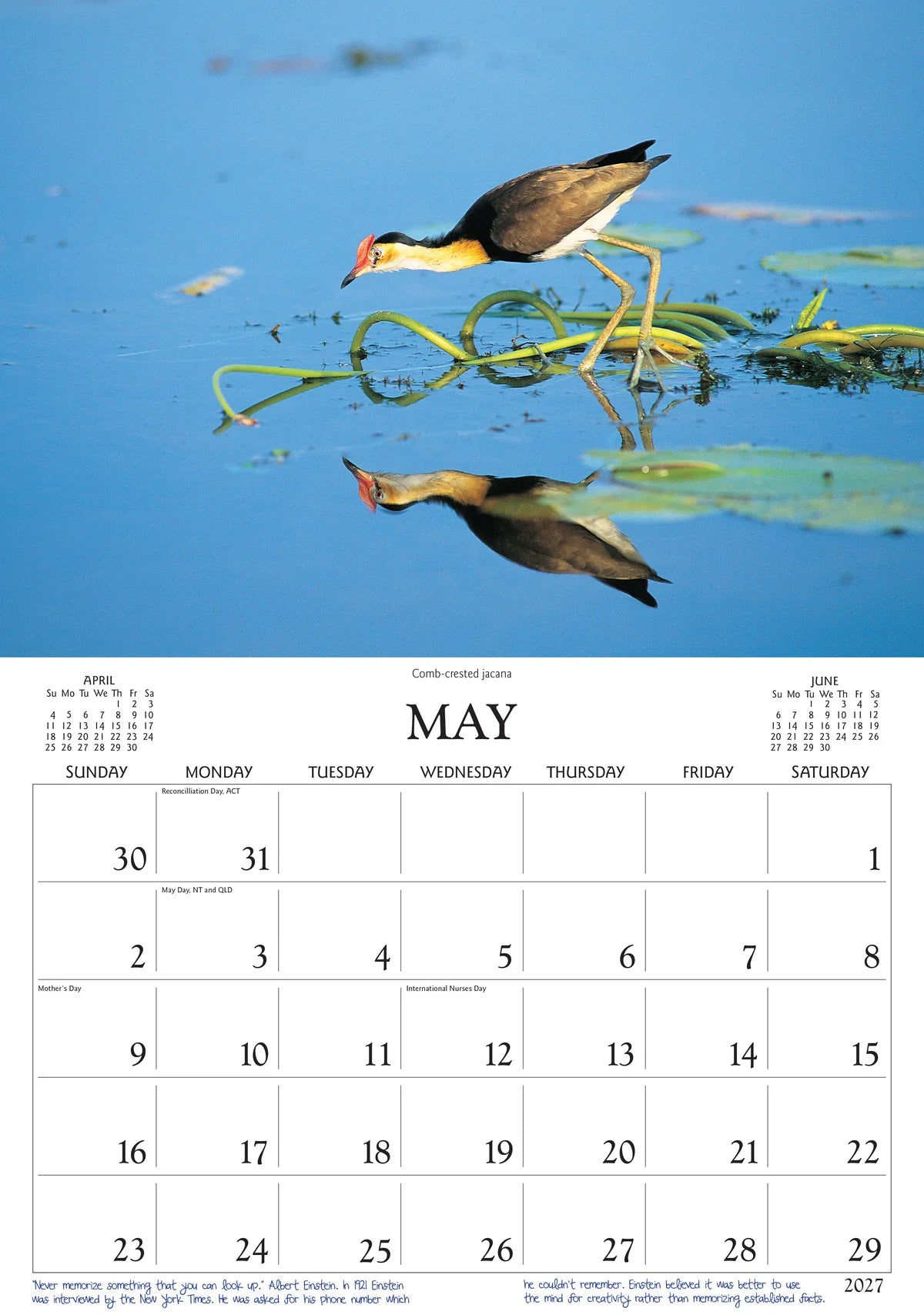 BIRDS OF AUST CALENDAR: 2027
