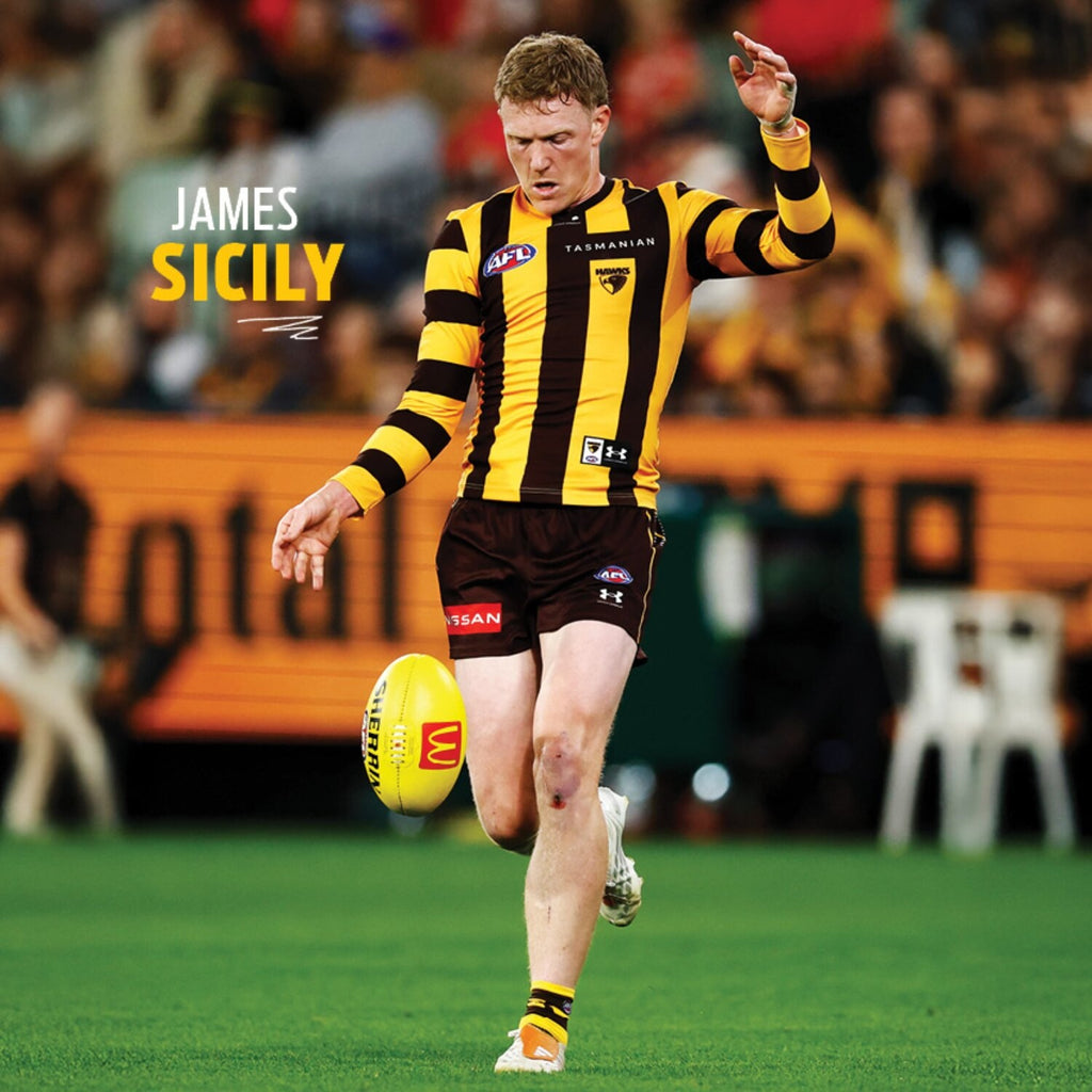 AFL HAWTHORN HAWKS CALENDAR: 2027