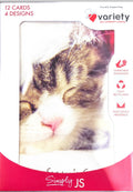 Charity Christmas Boxed Cards/ Cute Animals Cat &amp; Dog