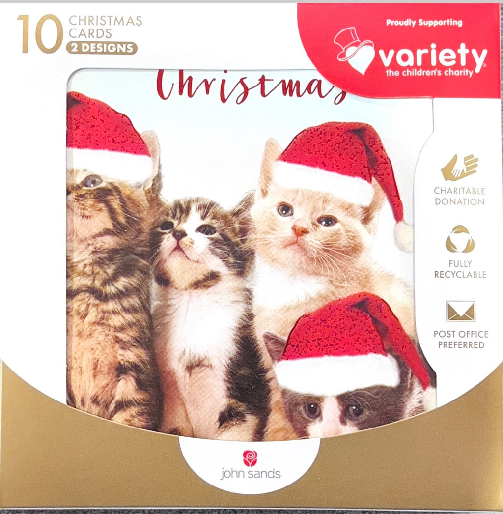 Charity Christmas Boxed Cards/ Cats Merry Christmas