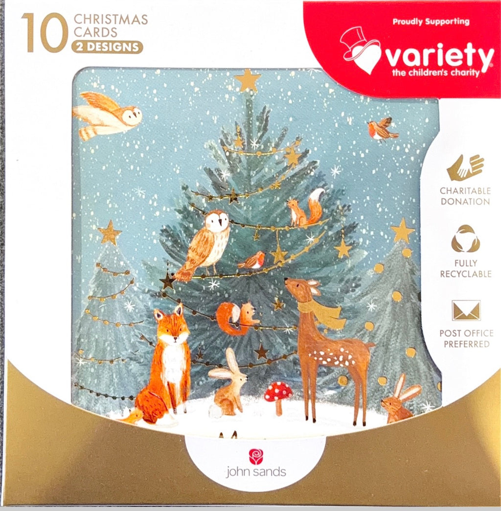 Charity Christmas Boxed Cards/ Woodland Magical Christmas