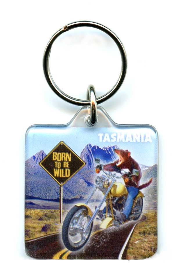 KEYRING SQUARE ACRYLIC TASMANIAN DEVIL BORN TO BE WILD