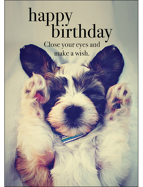 M004 - Happy Birthday - Animal Greeting Card