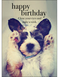 M004 - Happy Birthday - Animal Greeting Card
