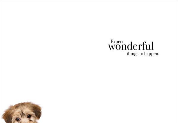 M004 - Happy Birthday - Animal Greeting Card