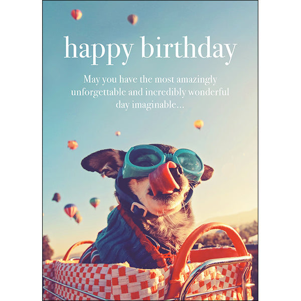 M110 - Happy Birthday - Animal Greeting Card