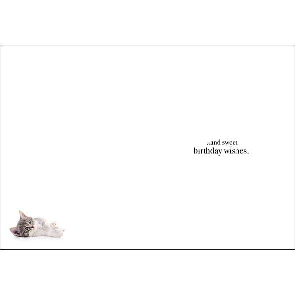 M115 - Cuddles And Kisses - Animal Greeting Card