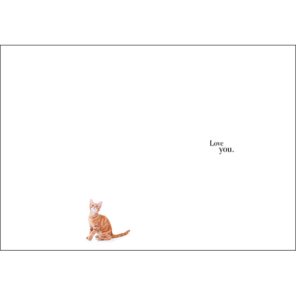 M119 - You Are The Cat's Whiskers - Animal Greeting Card