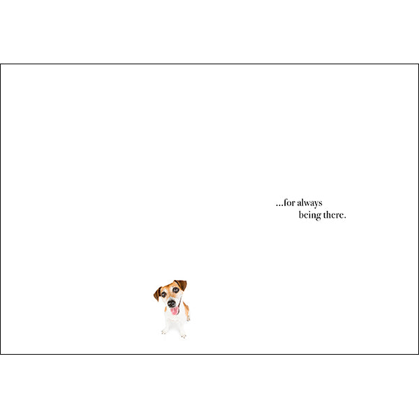 M121 - Thanks - Animal Greeting Card