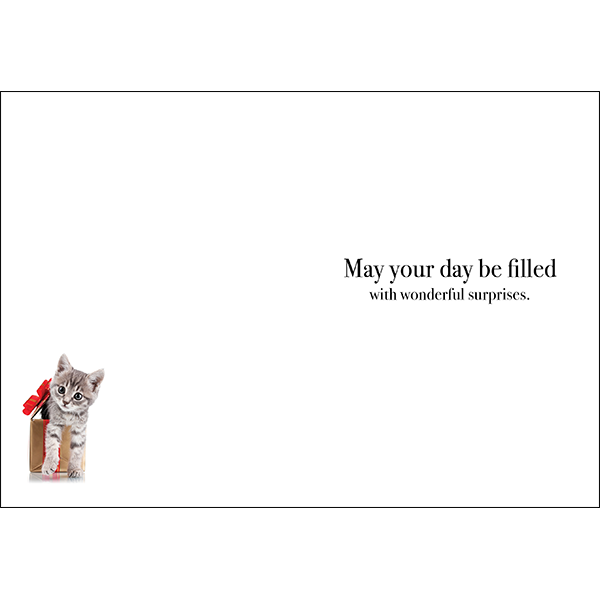 M129 - Happy Birthday - Kitten Greeting Card