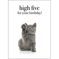 M130 - High Five For Your Birthday - Cat Greeting Card