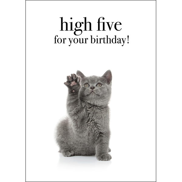 M130 - High Five For Your Birthday - Cat Greeting Card