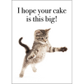 M131 - I Hope Your Cake Is This Big! - Cat Birthday Card