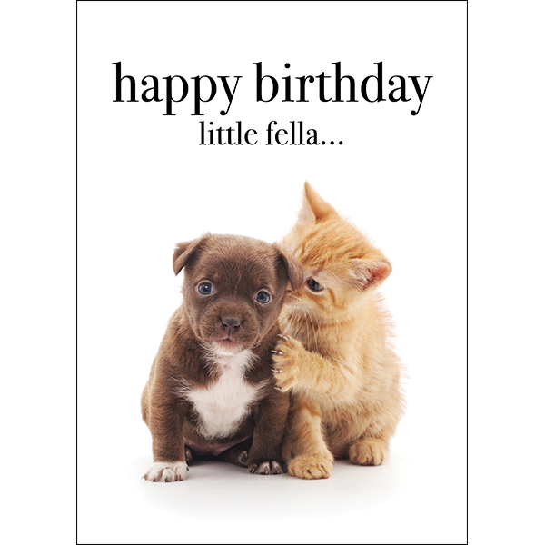 M132 - Happy Birthday Little Fella - Baby Animal Greeting Card