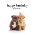 M132 - Happy Birthday Little Fella - Baby Animal Greeting Card