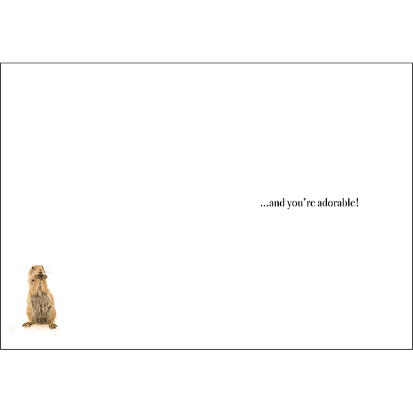 M134 - You're My Favourite - Animal Greeting Card