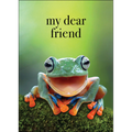 M135 - My Dear Friend - Frog Greeting Card