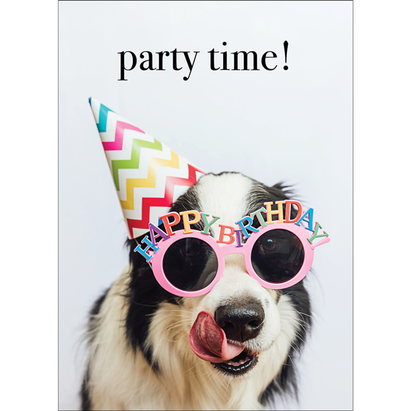 M141 - Party Time! - Dog Greeting Card