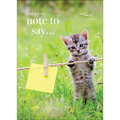 M143 - Just A Little Note To Say - Kitten Greeting Card