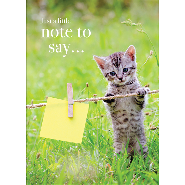 M143 - Just A Little Note To Say - Kitten Greeting Card