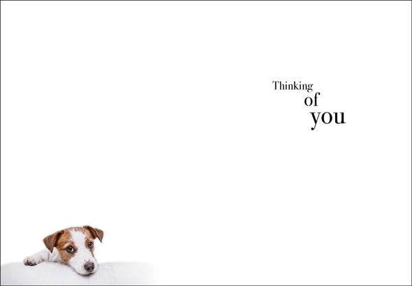 M040 - Those We Do Not Hold - Animal Greeting Card