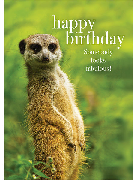 M042 - Happy Birthday - Animal Greeting Card