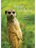 M042 - Happy Birthday - Animal Greeting Card