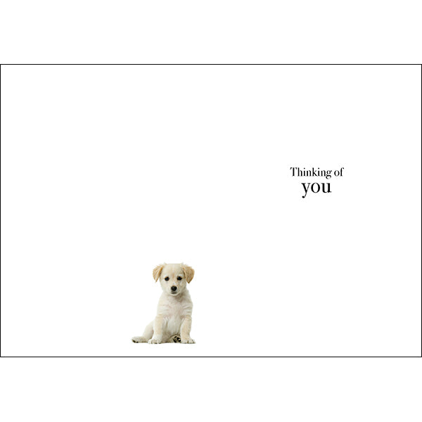 M058 - Those We Love - Animal Greeting Card