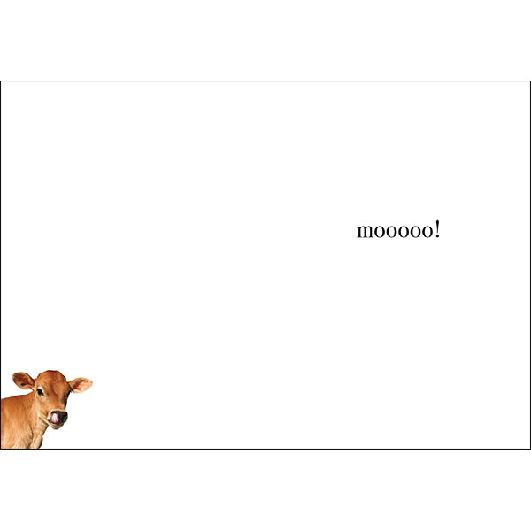 M060 - You Are Udderly Fabulous - Animal Greeting Card